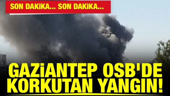 GAZİANTEP'TE TEKSMEN FABRİKASINDA BÜYÜK YANGIN!